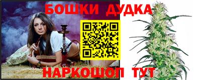 прущие грибы Вязники
