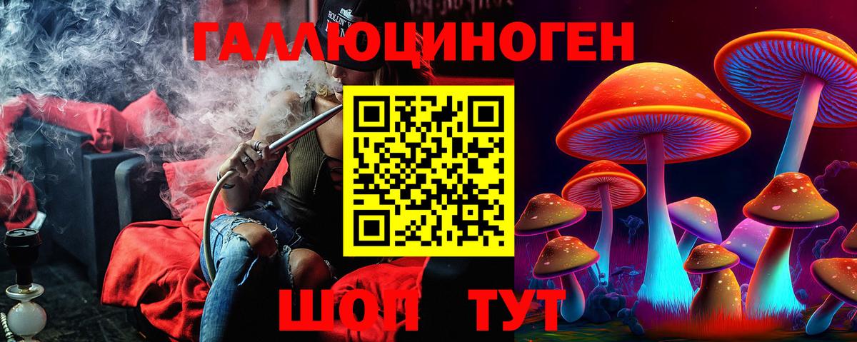 Галлюциногенные грибы Psilocybine cubensis Благодарный