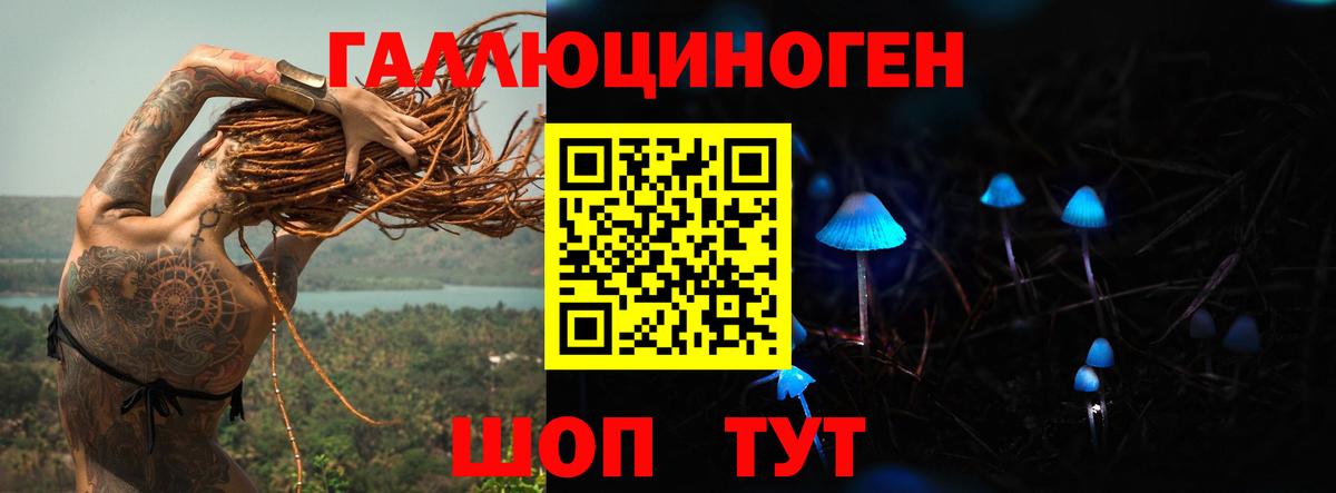 Псилоцибиновые грибы MAGIC MUSHROOMS  Вход с VPN  Благодарный  Псилоцибиновые грибы прущие грибы 